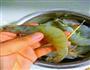 避风塘虾的做法图解3