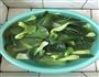 菜饭的做法图解2