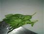 豆豉蒸排骨的做法图解6