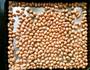 抹茶花生牛轧糖的做法图解1
