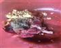 小葱炒牛肉的做法图解3