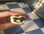 简单的动物饼干的做法图解8
