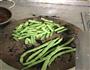 土豆焖豆角的做法图解3