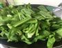 蒜蓉炒油麦菜的做法图解5
