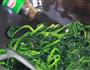 家宴中颜值担当的配角-菠菜炒鸡蛋的做法图解7