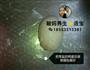 咸鸭蛋的做法图解5