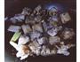 糖醋排骨的做法图解2