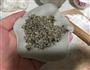 黑芝麻花生核桃包子的做法图解4