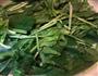 蒜蓉菠菜的做法图解3