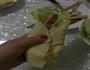 蜜蒜香鸡土豆卷饼的做法图解4