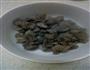 番茄土豆炖牛肉的做法图解8