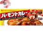 日式咖喱鸡腿肉的做法图解6