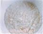 海米菠菜粥  宝宝健康食谱的做法图解10