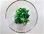 海米菠菜粥  宝宝健康食谱的做法图解6