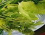 生菜肉碎炒米粉的做法图解3