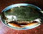 红鲟蒸粉丝的做法步骤7