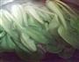 油菜香菇烧丸子的做法图解13