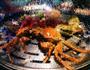 清蒸螃蟹龙虾的做法图解2