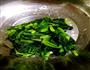 菠菜拌粉丝的做法图解2