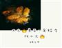 可乐鸡翅的做法图解4