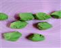 换个花样做馒头-青苹果馒头的做法图解4
