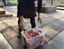 烤排骨烤兔的做法图解3