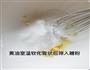 香脆/椰子脆片的做法图解3