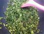 雪菜牛肉丝的做法图解11