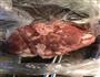 羊肉蛋饺蘑菇暖冬火锅的做法图解4