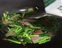腊肉炒蒜苔的做法图解6