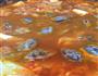 辣白菜豆腐汤的做法图解6