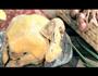 电饭煲焗鸡的做法图解11