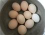 虎皮蛋的做法图解1