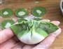 初一寓意吉祥的百财水饺的做法图解9