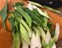青蒜炒农家腊肉的做法图解1