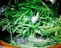 上汤菠菜的做法图解11