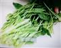 上汤菠菜的做法图解3