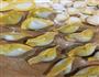 金玉满堂饺子的做法图解5