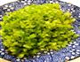 家常海鲜粥的做法图解2