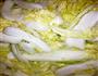 改良版辣白菜的做法图解4