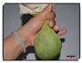香喷喷的韭菜鸡蛋馅儿饼的做法图解3