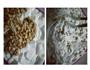 微波炉自制花生牛轧糖的做法图解4