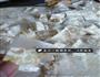 微波炉自制花生牛轧糖的做法图解9