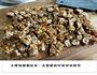 花生糖的做法图解8