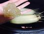 甜甜蜜蜜.桂花糯米藕的做法图解7