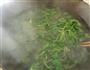 荠菜虾仁鲜肉馄饨的做法图解2