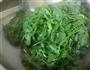 荠菜虾仁鲜肉馄饨的做法图解3