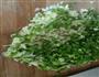 荠菜虾仁鲜肉馄饨的做法图解4