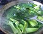 青菜猪肉水饺的做法图解8