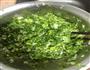 青菜饺子的做法图解4